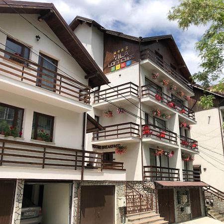 Vila Loft Cube Sinaia Luaran gambar
