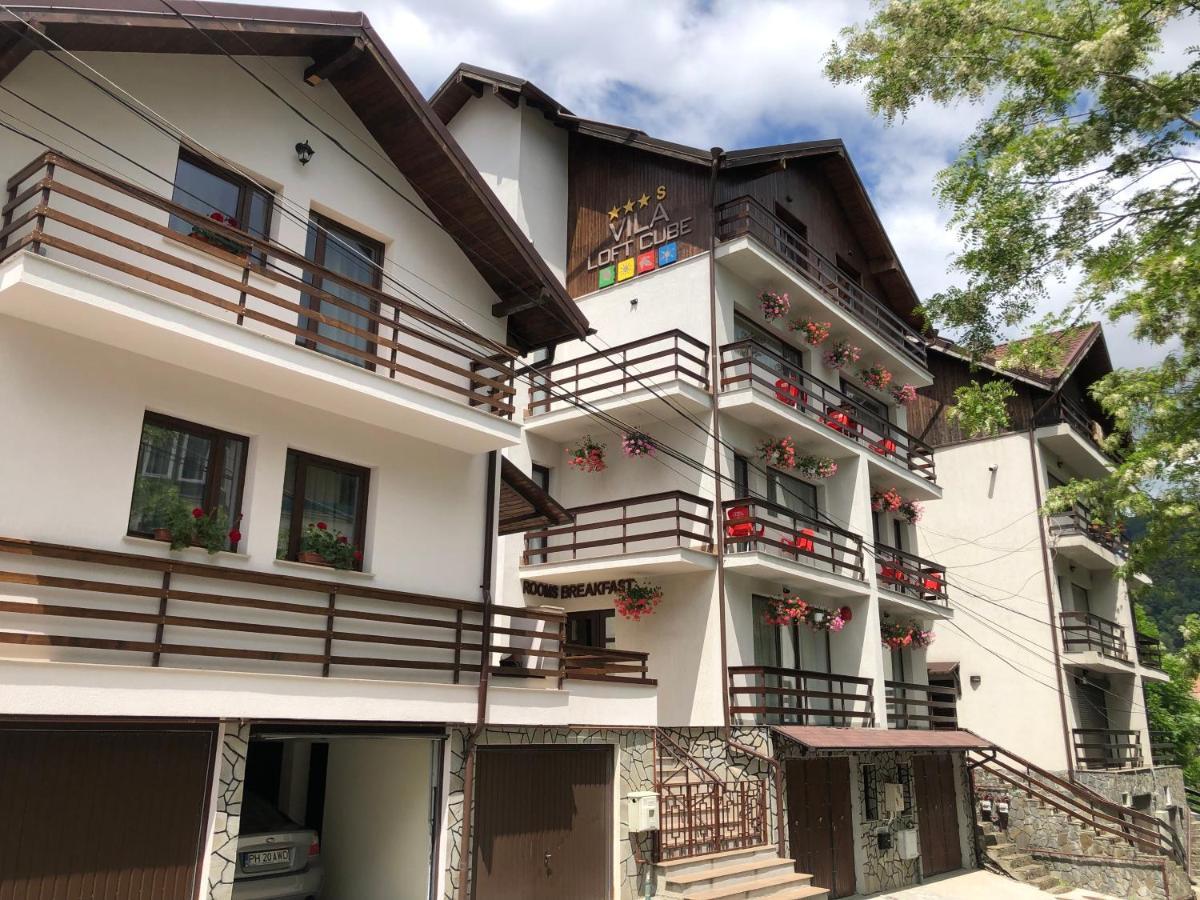 Vila Loft Cube Sinaia Luaran gambar
