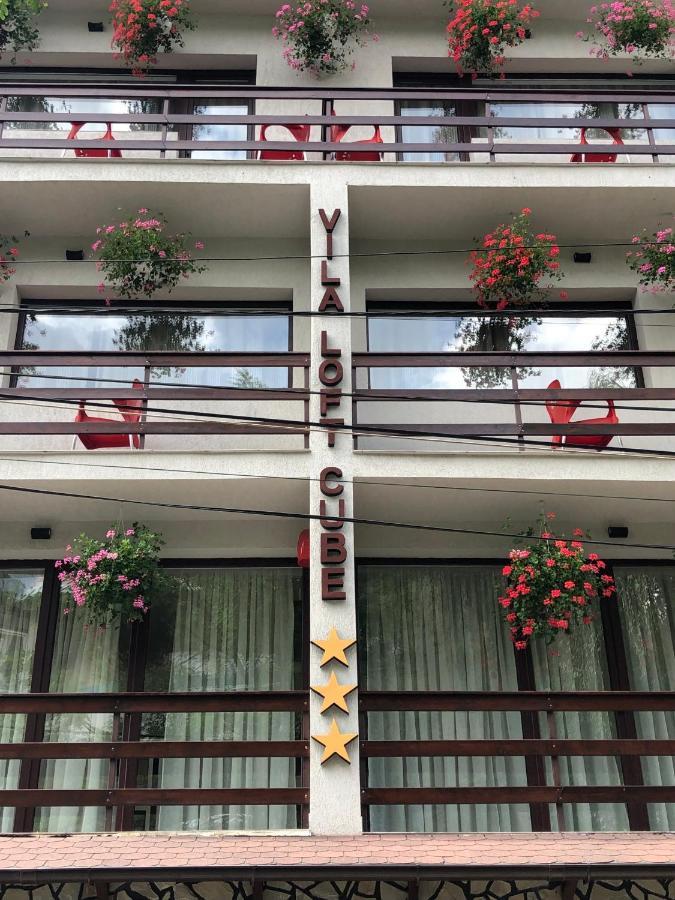 Vila Loft Cube Sinaia Luaran gambar